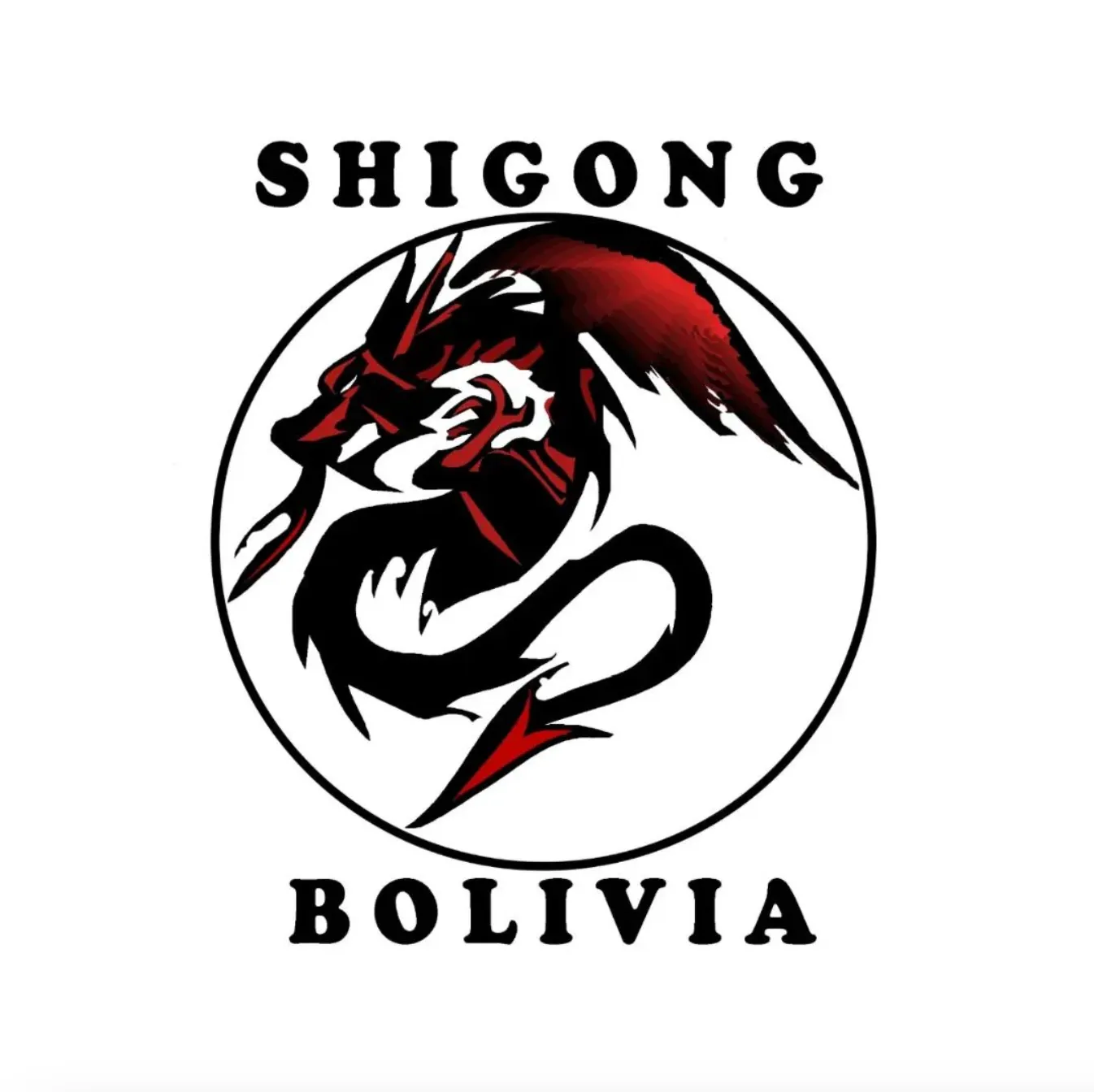 SHIGONG BOLIVIA